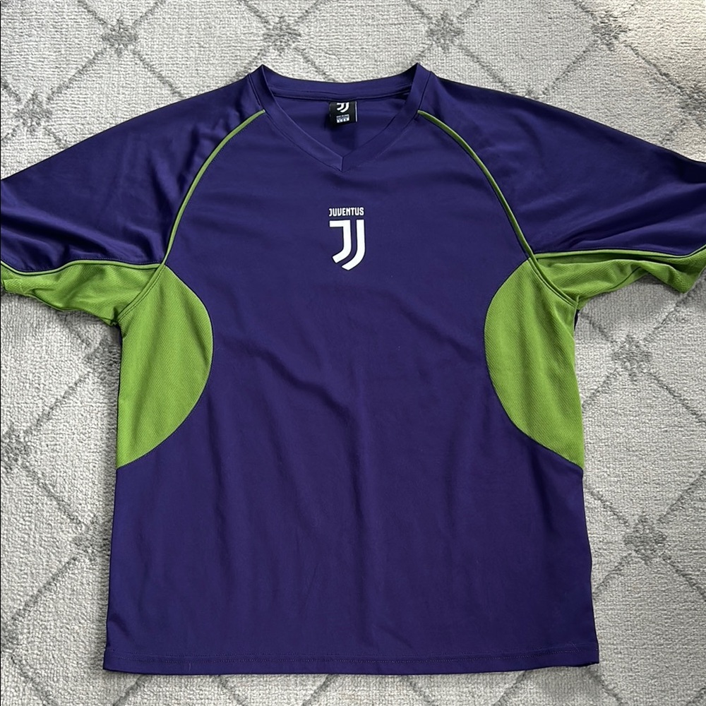 Purple and Green Men's Jersey